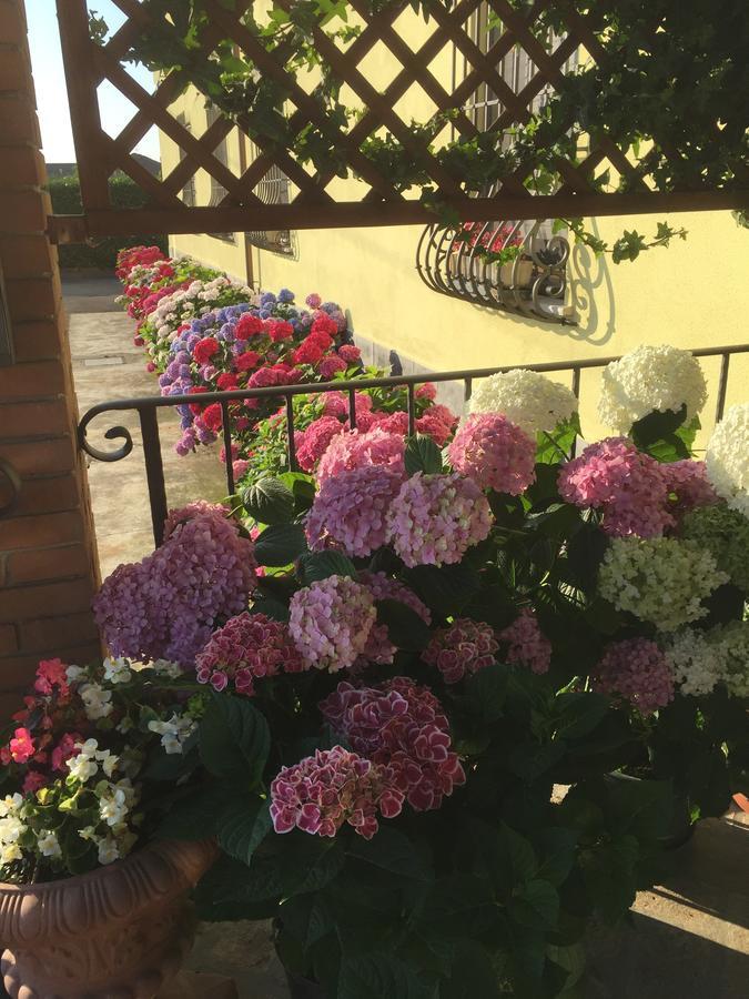 Albergo Il Gufo Parma Luaran gambar